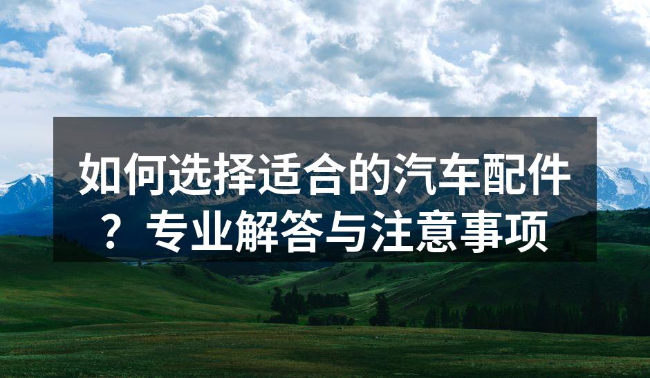 优质汽车配件展示